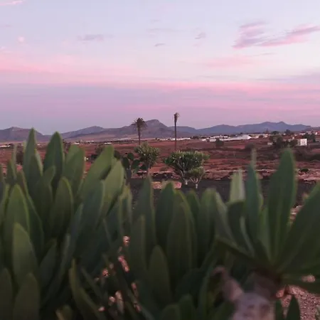 Nopales Fuerteventura * Antigua